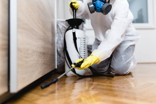 Best Commercial Pest Control Services  in Hudson, OH