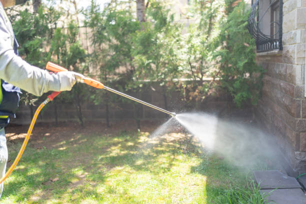 Best Ant Control Services  in Hudson, OH